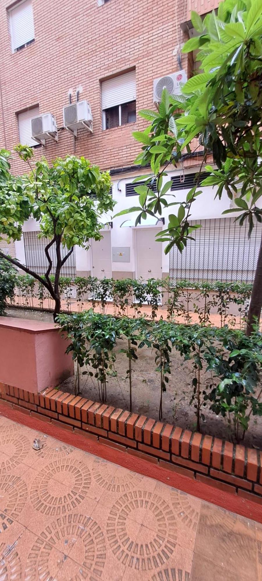 Apartamentos Suite Sol Cordoba Exterior photo